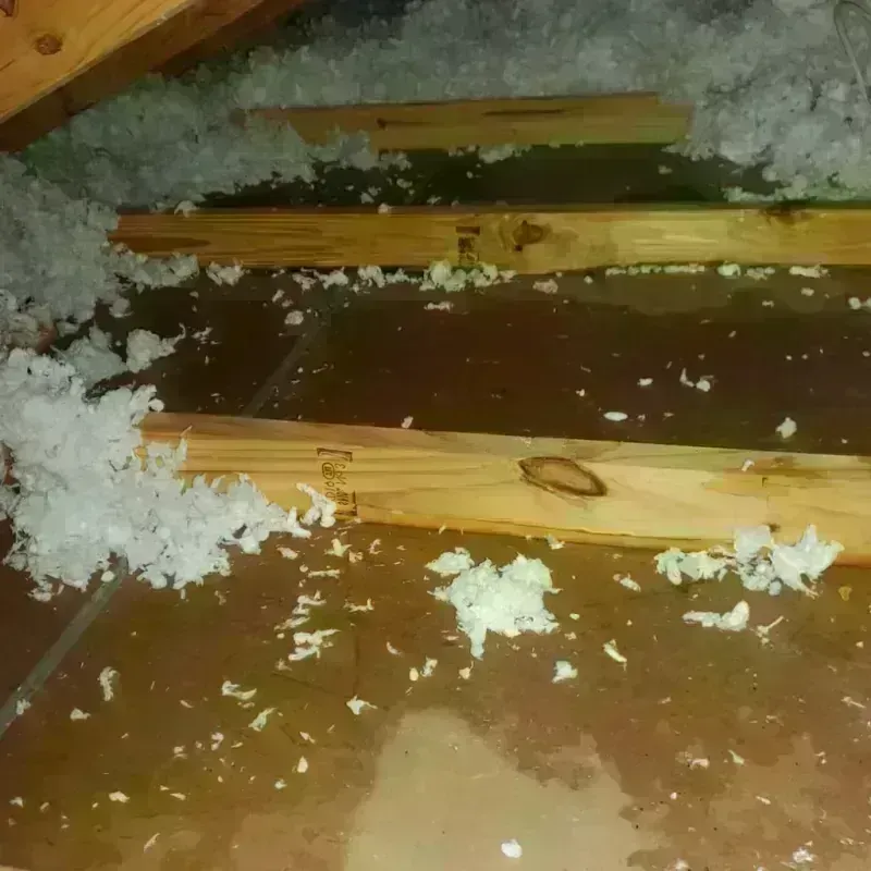 Attic Water Damage in Denton, NC