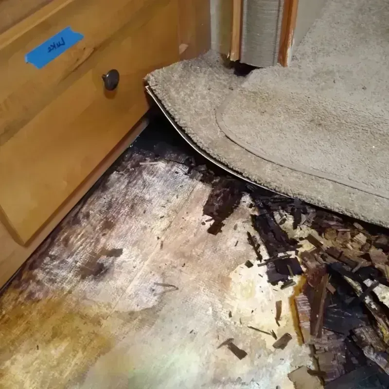 Best Wood Floor Water Damage Service in Denton, NC